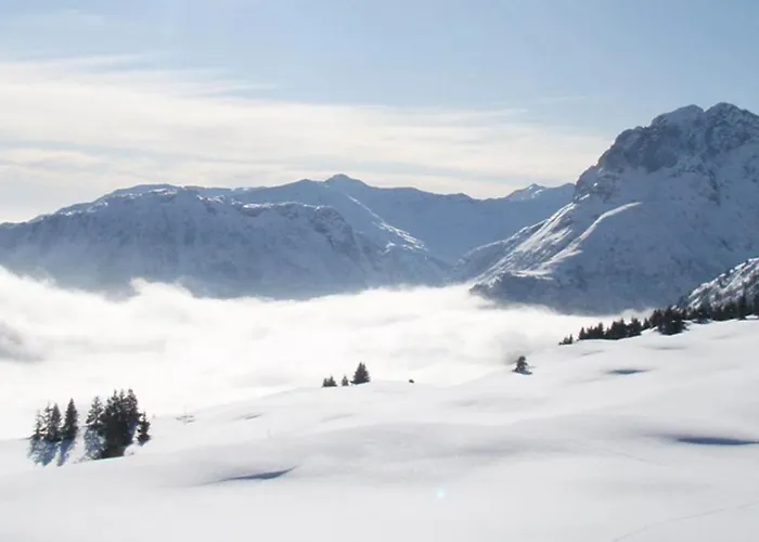 Bed & Breakfast Erlenhof